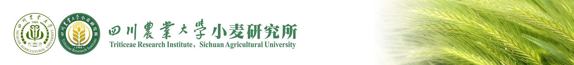 四川农业大学环球360游戏